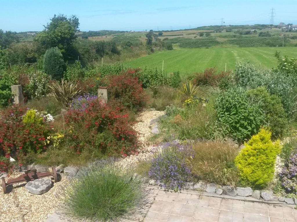 Sportsmans Lodge Bed And Breakfast Amlwch Exteriör bild